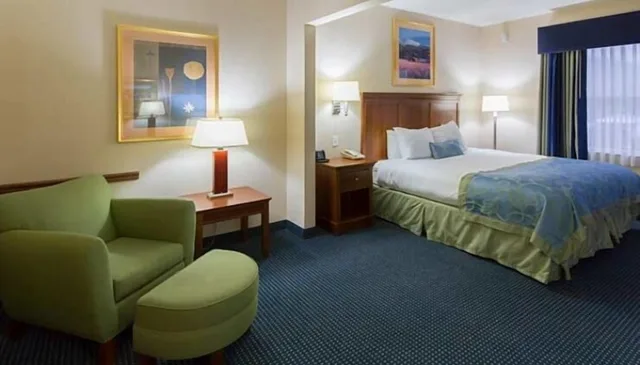 غرفة قياسية بسرير كينج، Wingate By Wyndham Ellicottville 3/4
