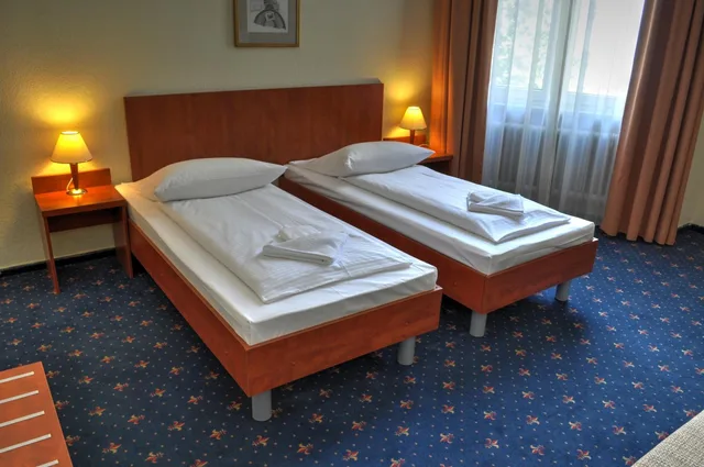 غرفة بسرير مزدوج أو سريرين منفصلين، Hotel Europa City 11/18
