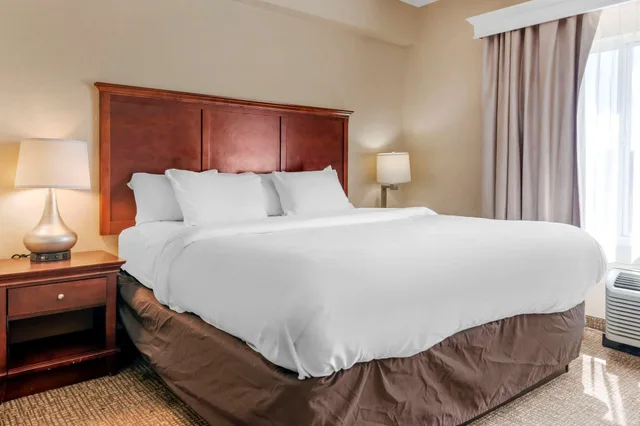 Suite, King Bed, Sofa, Comfort Suites Ocala - North 3/10