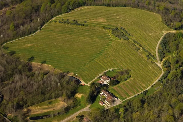 Tenuta Valdomini، Udine 28/50