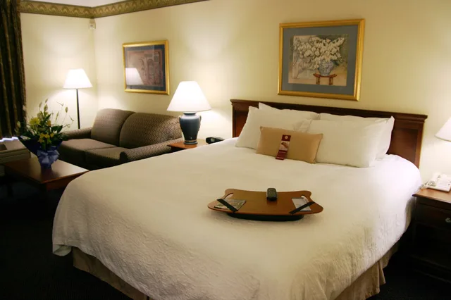 جناح بسرير كينج مع أريكة بحوض جاكوزي، Hampton Inn Williamston 1/1