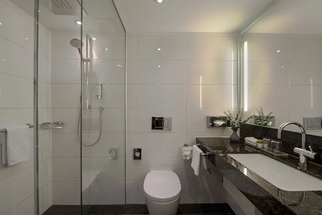 Smart, Classic, Double Bed، Maritim Hotel Darmstadt 3/6