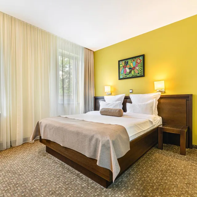 جناح بزنس بإطلالة على النهر، Vega Hotel 1/6