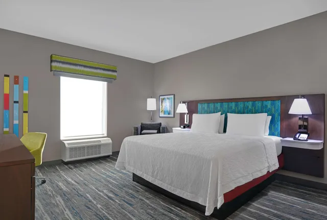 Studio, Suite, King Bed, Sofa, Hampton Inn Suites Macclenny I 10 1/2