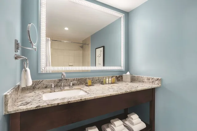 جناح بسرير كينج بشرفة لذوي الإعاقة، Doubletree By Hilton Tampa Rocky Point Waterfront 7/7