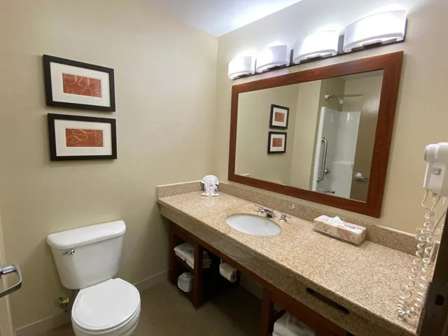 Efficiency, Suite, King Bed, Pet Friendly، Comfort Suites Coralville 4/5