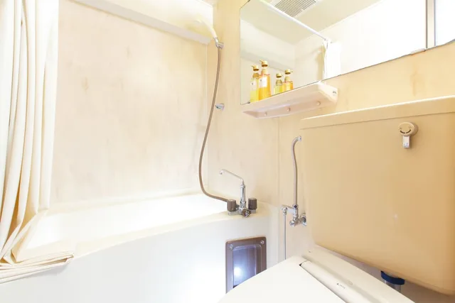 Semi Room, Superior, Single Bed, Smoking، Flexstay Inn Ekoda 5/5