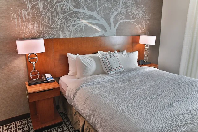 جناح تنفيذي بسرير كينج مع أريكة لذوي الإعاقة، Fairfield Inn And Suites Savannah Midtown 3/6