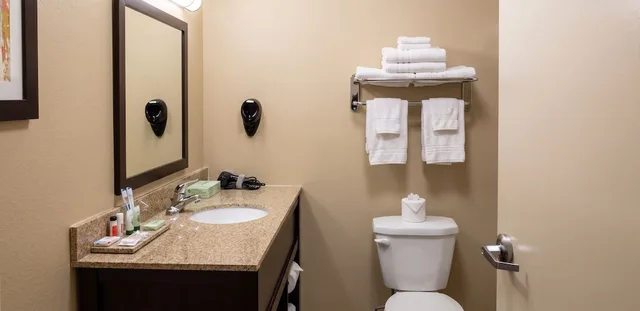 غرفة ديلوكس بسرير كينج، Surestay Hotel by Best Western Cotulla 7/7