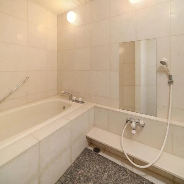 غرفة بريميوم بسرير فردي، Hotel Anbient Tateshina 5/7