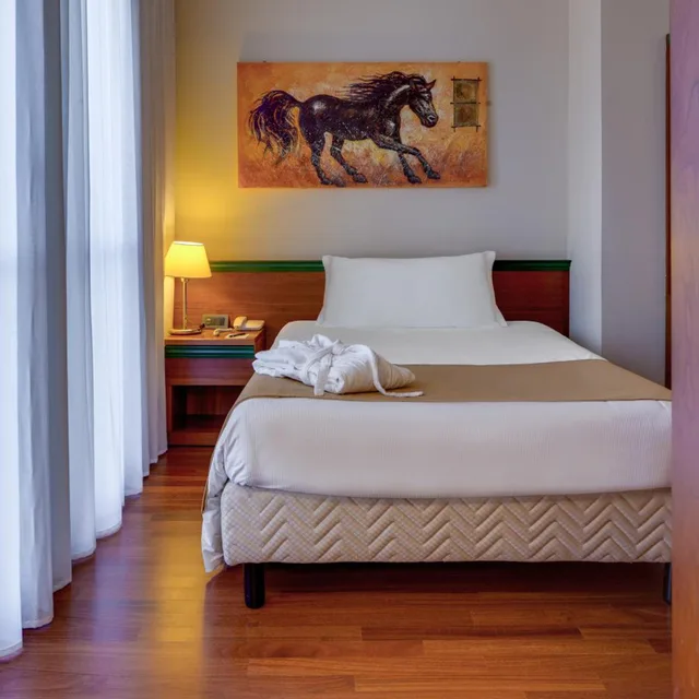 Superior, Single, Hotel Raffaello 2/5