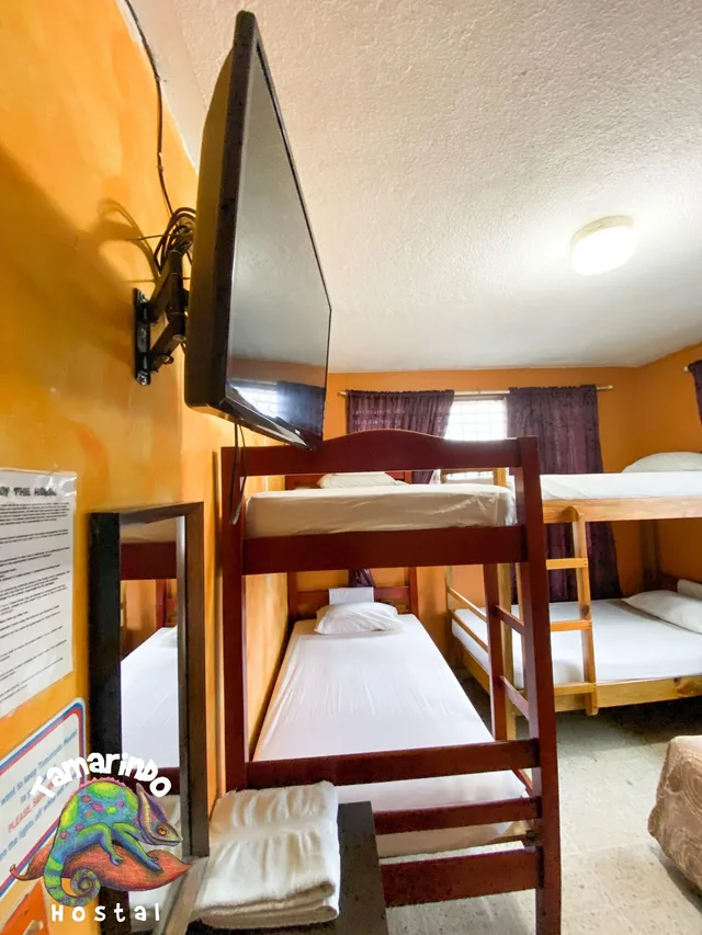 غرفة قياسية، Tamarindo hostel 6/9