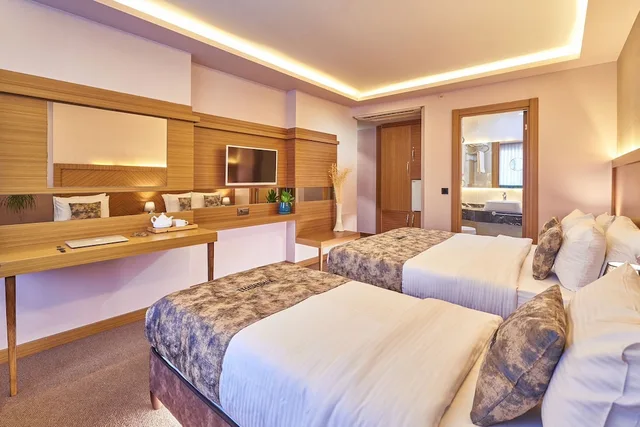 غرفة قياسية ثلاثية بسرير كوين وسرير فردي، Atro Hotel 3/6