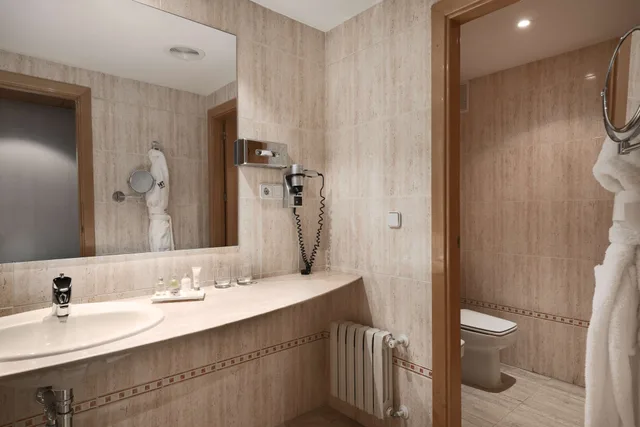 Superior, Double Bed, Nh Ciudad Real 3/4