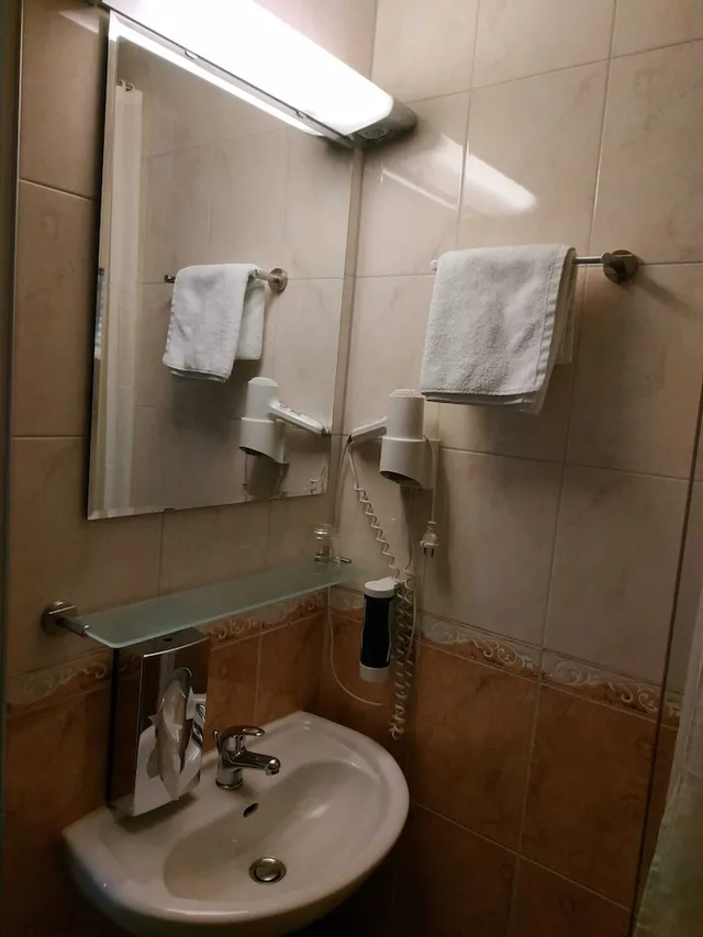 Retro, Compact, Single, Single Bed, No Balcony، Hotel Waldblick 5/10