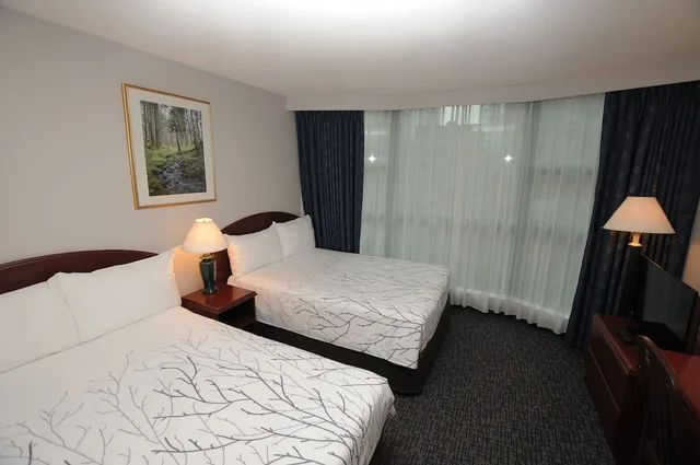 غرفة سوبيريور بسريرين مزدوجين، Rosedale On Robson Suite Hotel 1/1