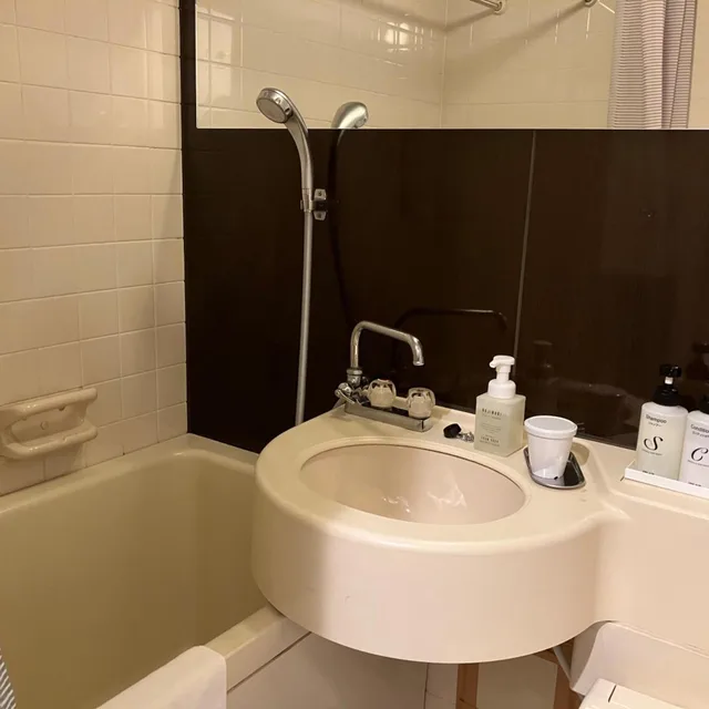 غرفة ديلوكس بسرير نصف مزدوج، Hotel Livemax BUDGET Kyoto Ekimae 4/6