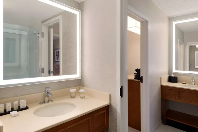 جناح بسرير كينج بغرفة نوم واحدة لذوي الإعاقة، Embassy Suites by Hilton Orlando International Drive ICON Park 3/3