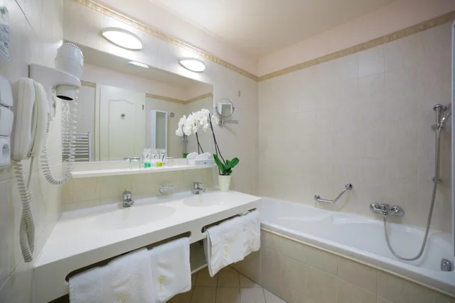 Suite, King Bed, Interhotel Central 3/3