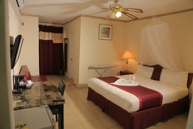غرفة سوبيريور بسرير كينج لذوي الإعاقة، Executive Airport Hotel 2/3