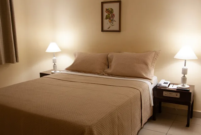 جناح رئاسي بسرير كينج بحوض جاكوزي، SAN MICHEL HOTEL 8/10
