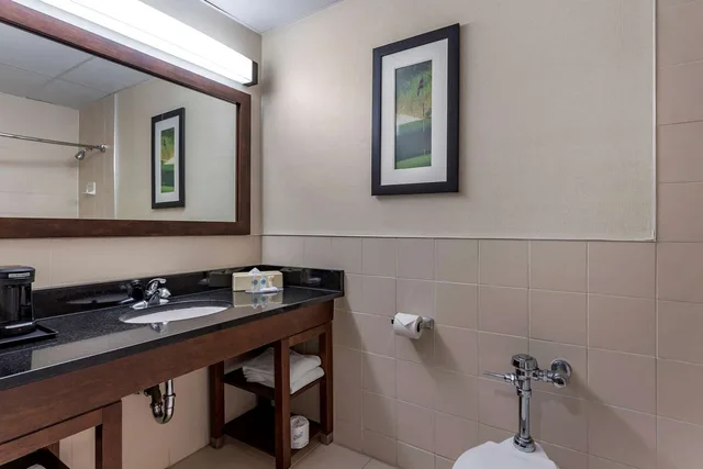 Room, King Bed, Comfort Inn Syosset-Long Island 1/1