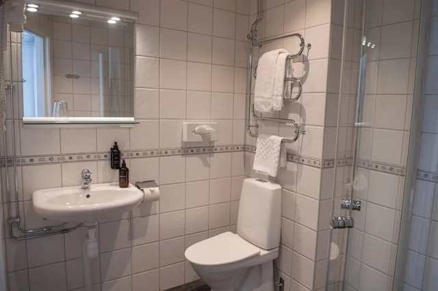 Compact, Single، Home Hotel Drott 9/9