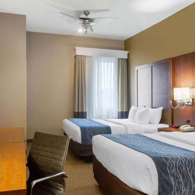 جناح بسرير كوين مع أريكة، Comfort Inn and Suites Amarillo 1/3