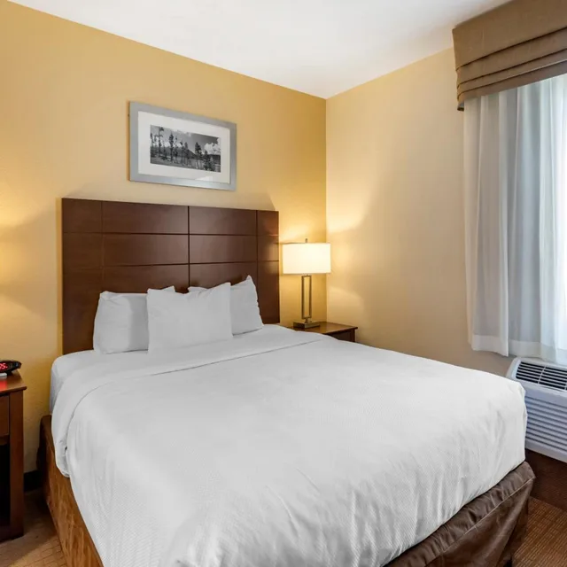 جناح بسرير كوين مع أريكة، MainStay Suites Near Denver Downtown 3/10