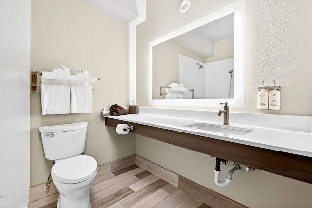 1 Bedroom, Suite, King Bed, Sofa, Holiday Inn Clarkston - Lewiston 9/10