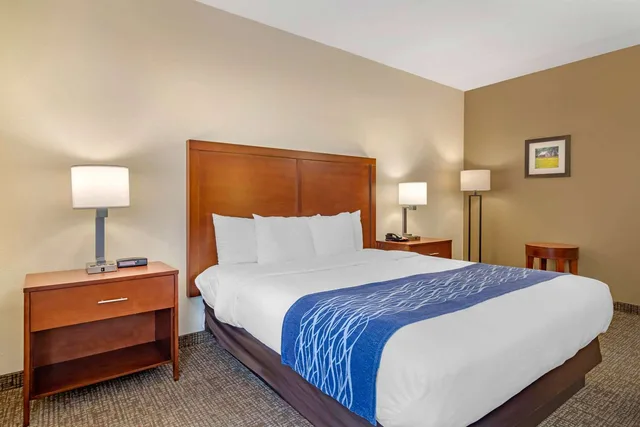 غرفة بسرير كينج، Comfort Inn Douglasville - Atlanta West 3/4