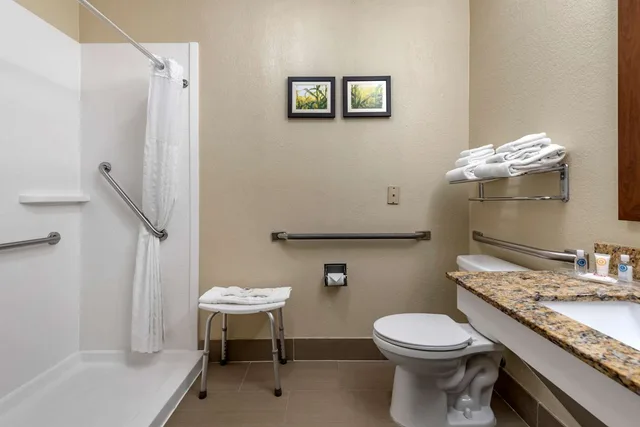 جناح بسرير كينج لذوي الإعاقة، Comfort Suites Auburn Near I-69 4/4