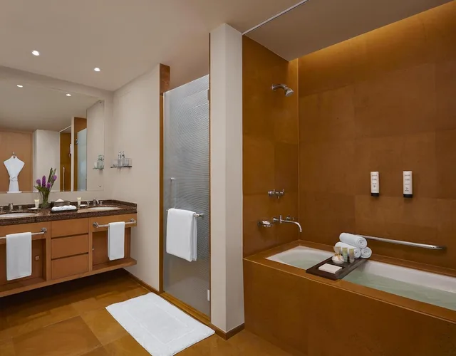غرفة ديلوكس بسرير كينج، Grand Hyatt Mumbai Hotel and Residences 8/8