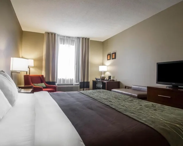 Room, King Bed, Accessible, Comfort Inn Amite City 3/6
