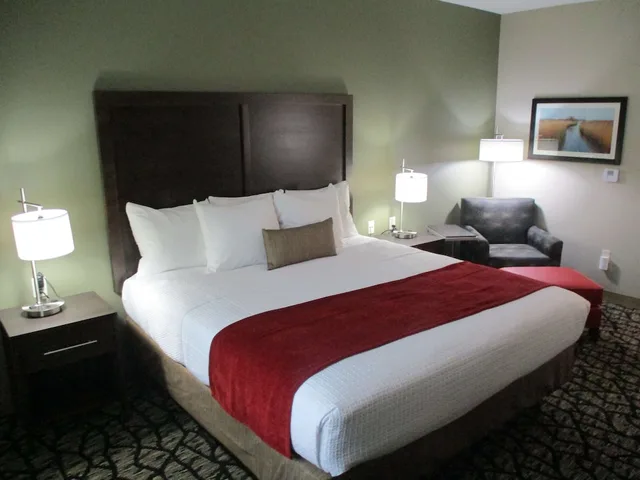 غرفة قياسية بسرير كينج لذوي الإعاقة، Best Western Plus Lakeview Hotel 4/9