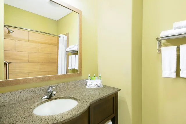 غرفة قياسية بسرير كينج لذوي الإعاقة، Holiday Inn Express Hotel And Suites Monahans I 20 4/4