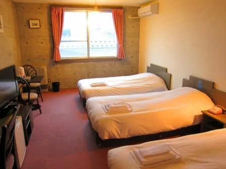Western, Park, Standard, Smoking Type Not Guaranteed، Hakodate Motomachi Hotel 1/1