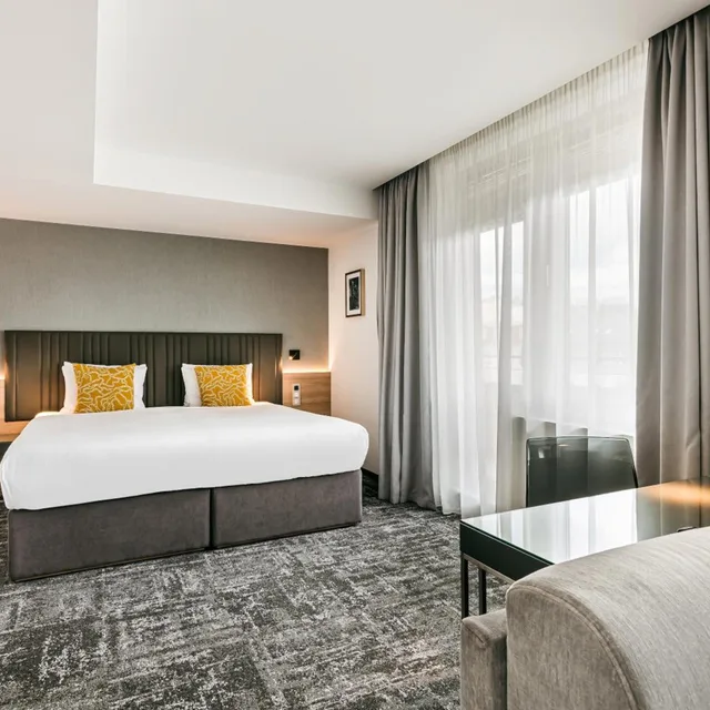 جناح جونيور بسرير مزدوج أو سريرين منفصلين، Hotel International Brno 3/6