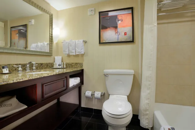 غرفة قياسية بسرير كينج، Doubletree By Hilton Hotel Lafayette 2/2