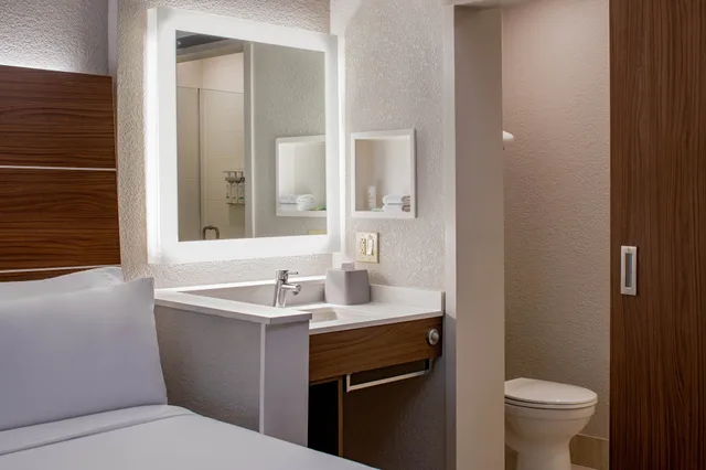 غرفة قياسية بسرير كينج، Holiday Inn Express New Orleans Dwtn - Fr Qtr Area 7/9