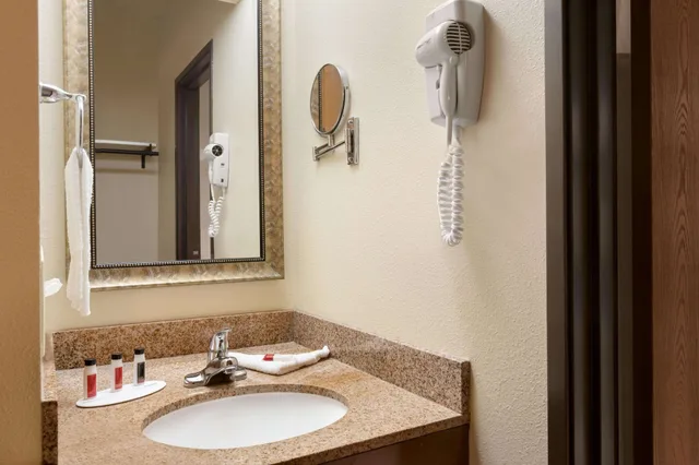 غرفة بسرير كينج يُسمح فيها بالحيوانات الأليفة لذوي الإعاقة، Ramada by Wyndham Fargo 5/6