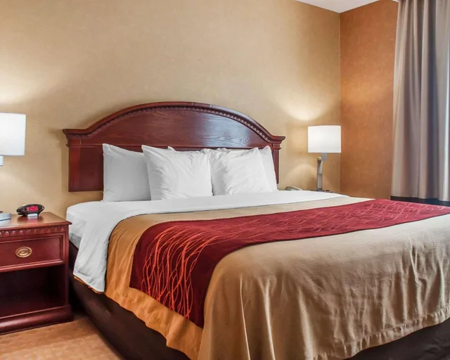 جناح بسرير كينج، Quality Inn Near Walden Galleria Mall 3/4