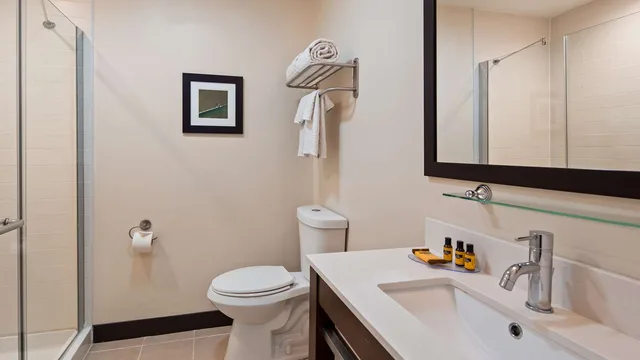 غرفة بسرير كينج لذوي الإعاقة، Best Western Plus Philadelphia Convention Center Hotel 7/7