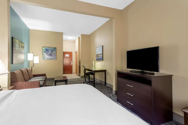 غرفة بسرير كينج لذوي الإعاقة، Best Western Plus McDonough Inn & Suites 1/7
