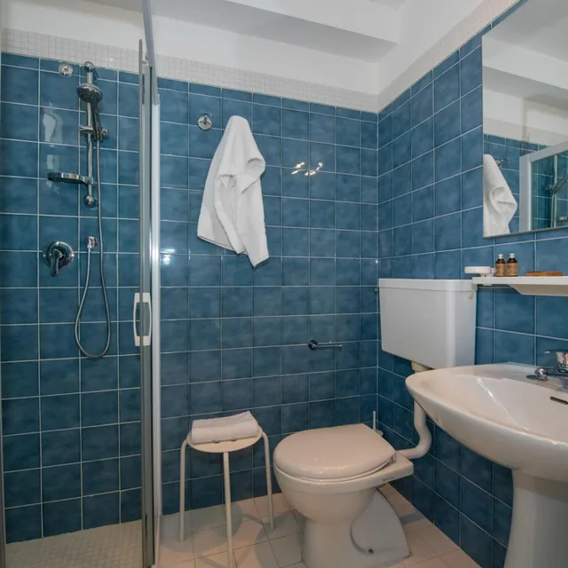 Superior, Double Bed, Hotel Delle Mimose 8/9