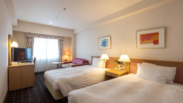 غرفة قياسية بسريرين منفصلين بإطلالة على المدينة للمدخنين، Hotel Lake Alster Alza Izumiotsu 1/1