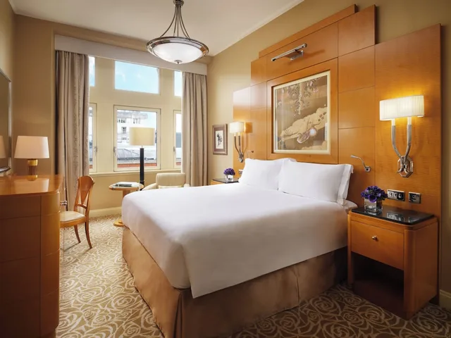 غرفة سوبيريور بسرير كوين، The Savoy Hotel 6/10