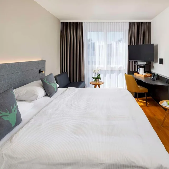 غرفة بسرير فردي مع سرير إضافي، Hotel Allegra Lodge 1/6