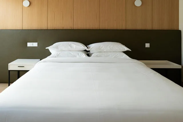 غرفة قياسية بسرير كينج، Borralha Hotel Restaurante & Spa 1/1