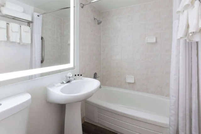 Junior Suite, King Bed, Sofa, Wyndham Garden Norfolk Downtown 7/10